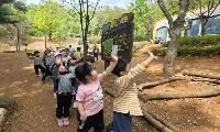 숲속이 배움터가 된다...마포구, 유아숲 체험 프로그램 운영