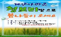 계양구, 계양아라온 청보리밭으로 봄나들이 오세요.