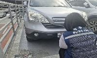 파주시, ‘체납차량 번호판 영치 일제 단속의 날’ 운영