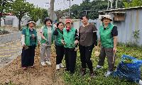 고양시 성사1동 새마을부녀회, 환경정화 활동 실시