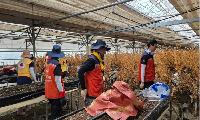 파주도시공사, 수해 입은 장미 농장에 봉사의 손길