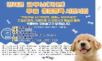 인천시, 찾아가는‘반려견 코무늬(비문) 무료 등록’ 